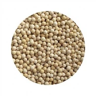 Ceramiczna kulka witaminy C do filtra prysznicowego